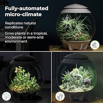 Amazon.co.jp: biOrb バイオーブ エアー30 グレー No.71749 植物
